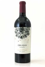Ventisquero-Obliqua-2017